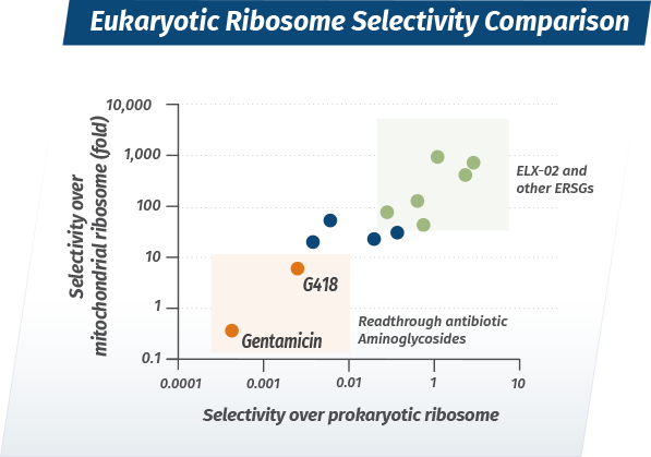 Ribosome