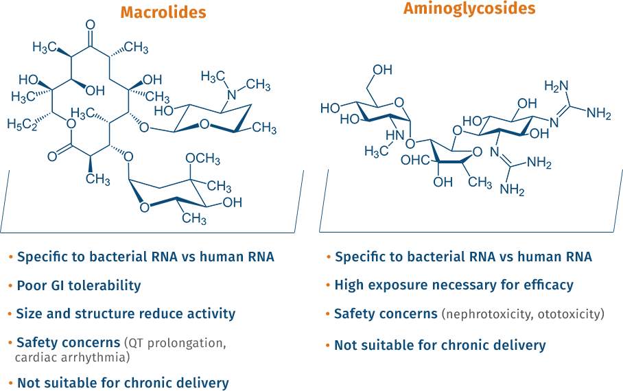 Ribosome